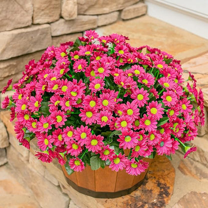Daisy Artificial Flowers for Outdoors Winter Decoration, 6 Bundles Fake Mums Dark Red Silk Flowers for Outside Look Real UV Resistant Faux Flowers Plants for Planter Front Door Home Indoor Porch