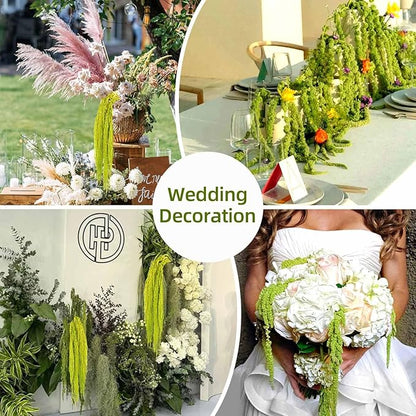5Pcs Dried Amaranthus Hanging Flowers, Natural Preserved Flower for Wedding Arch, Exhibition, Wall Hanging Lover Tears, Floral Arrangement, Home Decor (Chartreuse, 24")