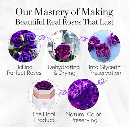 GLAMOUR BOUTIQUE Eternal Preserved Roses in a Box - Flowers Forever, Rose Forever in a Box for Wife, Birthday Gifts for Her, Single Rose, Purple