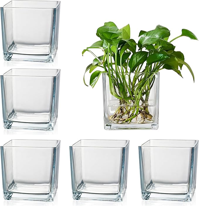 Set of 6 Square Glass Vases for Centerpieces – 4" x 4" x 4" Clear Short Vases, Flower Vase, Plant Terrariums, or Candle Holders for Wedding Centerpieces, Office Decor, Home Décor, Parties