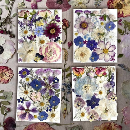 Purple Pressed Flowers 88Pcs Real Natural Dried for Resin Molds, DIY Crafts, Jewelry + Free 100Pcs Butterfly Stickers + Tweezers