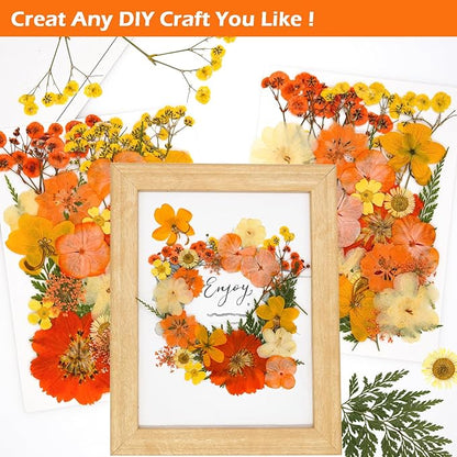 30Pcs Dried Pressed Natural Flowers for Resin Molds Real Pressed Flowers Dry Leaves Bulk Natural Herbs Kit for DIY Scrapbooking Art Crafts Jewelry Molds Candle Soap Making Nails Decor (Orange)