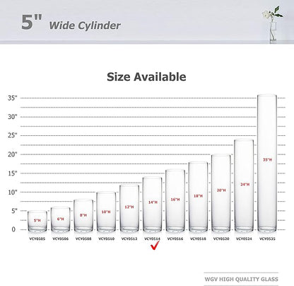 WGV Cylinder Vase, Diameter 5", Height 14", Clear Glass Floral Planter Container, Tall Centerpiece Arrangement for Wedding Party Event Home Office Decor, 1 Piece
