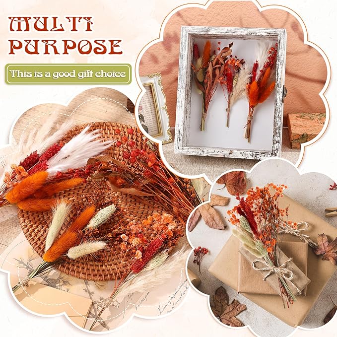 10 Kinds of Dried Flowers for Crafts Burnt Orange Fall Flowers Natural Pampas Grass Bunny Tails Babys Breath Hydrangea with Stems Dry Floral Arrangement for Fall Wedding Autumn Decorations for Home