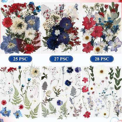 Nuanchu 167 Pcs Real Dried Pressed Flowers Natural Dried Flowers Colorful Daisy Mixed Wildflowers Leave for DIY Candle Resin Nails Jewelry Pendant Crafts Floral Art (Multicolor,Formal Style)