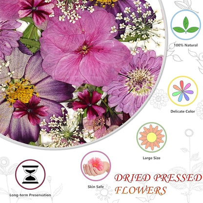 Purple Dried Pressed Flowers Bulk Dried Flowers for Crafts, Real Natural Bulk Dry Flowers for Resin Molds ,for Scrapbooking DIY Candle Soap ewellery Making Gifts