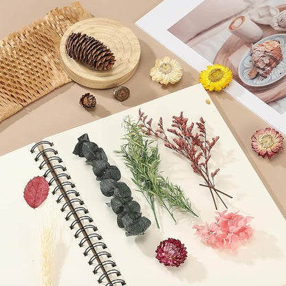 uxcell Natural Dried Flower Set, Dried Pressed Flowers Dry Leaves Bulk Natural Plants Kit Dried Flower Bouquets for Scrapbooking Crafts Resin Jewelry Candle (Orange)