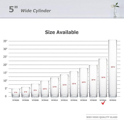 WGV Cylinder Vase Bulk, Diameter 5", Height 24", Clear Glass Floral Planter Container, Tall Centerpiece Arrangement for Wedding Party Event Home Office Decor, 6 Pieces