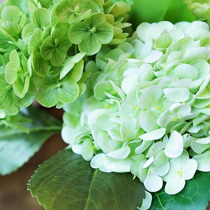 WILD WORKS Hydrangea Artificial Flower Natural Lifelike Real 21 inch Latex Long Stem 2 Light Green+2 Dark Green Hydrangea Flower Bouquets for Christmas Decor Home Party Outdoor Wedding Decoration
