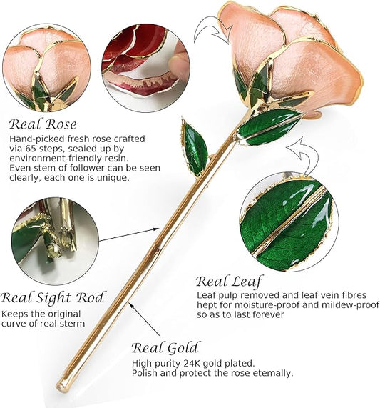Sinvitron Gold Dipped Infinity Rose Forever Flower Decor, Resin Preserved Real Rose Birthday Gift for Women, Anniversary Present for Mom (Pink)