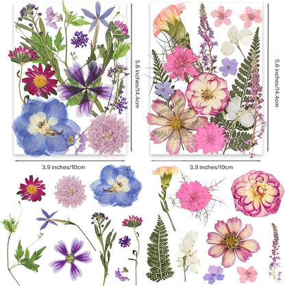 140pcs Dried Pressed Flower Leaves & Butterfly Stickers for Crafts,TrendCart Real Natural Dry Pressed Flowers & Leaves for Resin Molds Cake Candle Making Phone Cases Soap DIY Art Crafts Jewelry Making