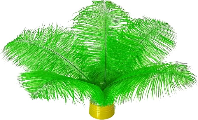 Piokio 20 pcs Natural Green Ostrich Feathers 8-10 inch(20-25 cm) Bulk for DIY Handmade Artwork and DIY Clothes, Feather Pens, Dream Catcher, Table Decoration