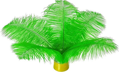 Piokio 20 pcs Natural Green Ostrich Feathers 8-10 inch(20-25 cm) Bulk for DIY Handmade Artwork and DIY Clothes, Feather Pens, Dream Catcher, Table Decoration