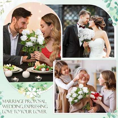 Hotop 20 Pcs Artificial Rose Flowers with Long Stem,Real Touch Silk Realistic Plastic Bouquet Roses Bulk for Home Decor Bridal Wedding Party Table Centerpieces Decorations(Pure White)