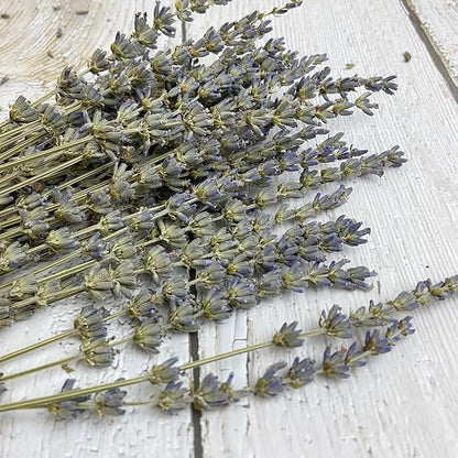 L'BREVOGA Dried Lavender & Statice Flower Bouquets, 100% Natural Dried Flowers for Decoration Home Party - Light Purple, 13.5 in