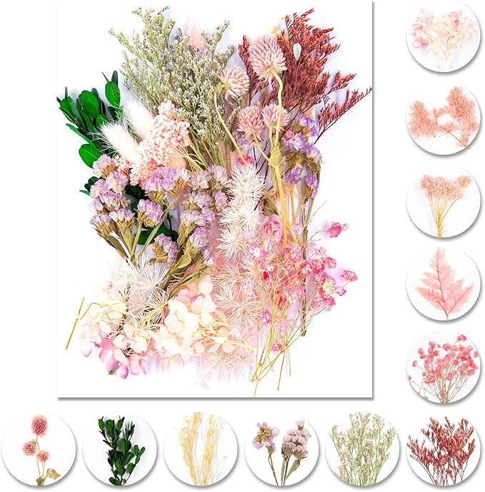 Vignee Real Dried Pressed Leaf Flowers-Multiple Colorful Pressed Flowers Daisies for Craft Resin Jewelry Making Art Craft DIY and Soap Candle Scrapbooking DIY Resin（Light Pink）