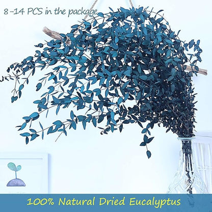 Dried Eucalyptus Leaves Preserved Greenery Stems, 8-14 PCS Eucalyptus Garland Branches, 4 OZ Blue Leaves Plant Bundle for Wedding Wreath Party Home Decor Vase Filler