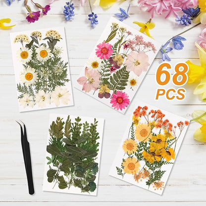 Gold Picture Frame Set - /w 68 Pcs Dried Flowers and Tweezer - Double Glass Frame for Pressed Flowers, Pressed Flower Frames for Handicrafts, Photo or Other Flat Items.