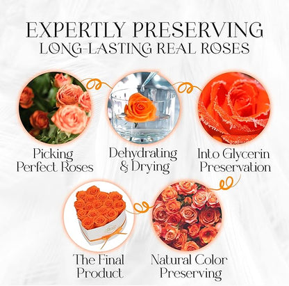 GLAMOUR BOUTIQUE Preserved Roses in a Box - Gifts for Her, Wife & Mom, Rose Flowers Forever Decor for Birthday Gift, Get Well Flower Bouquet Cased in White Box with Cover - Orange - 16-Piece
