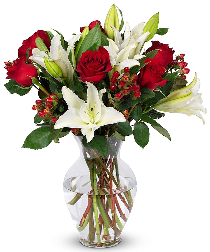 Benchmark Bouquets - Red Elegance (Glass Vase Included) - Fresh Flowers for Next Day Delivery - Gift for Christmas, Birthday, Anniversary, Sympathy, Get Well, Congratulations