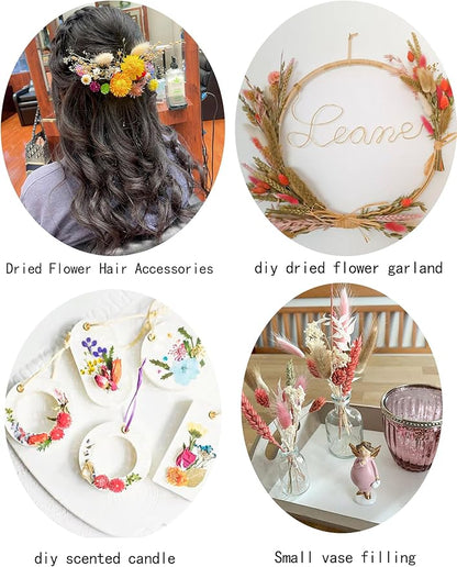 DIY Dried Flower Set, Bulk Dried Flowers,Autumn Decoration, DIY Bouquet Set, Door Hanging Wreath, Desktop Decorations Mini Dried Flowers (Orange)
