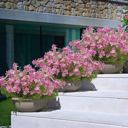 Spring Decorations for Home Fake Flowers Hydrangea Artificial Plants Indoor Mantle Decor Plastic Flowers Artificial Plants Outdoor Garden Decor Hanging Plants 6pcs（Rose Red） Flowers