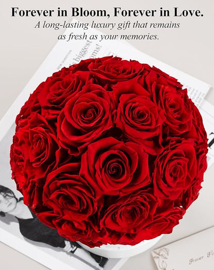 Preserved Roses Dome in a Box, Forever Real Roses Decor, Eternal Flowers for Delivery Prime, Best Gifts Birthday, Wedding, Anniversary, Mother's Day, Christmas for Her, 18-Pieces (Red)