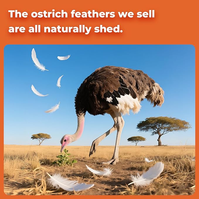 Piokio 20pcs Ostrich Feather Orange 10-12 inch (25-30cm) Bulk Feathers for Home Decoration and DIY Clothing and DIY Clothes Decoration, Gatsby Decorations