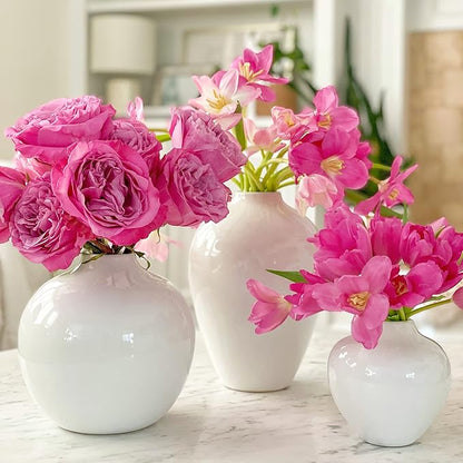 Willowy 7.5 Inch Large White Ceramic Vase with Glossy Finish - White Vases for Flowers, Round Vases for Decor, for Flower, for Pampas Grass