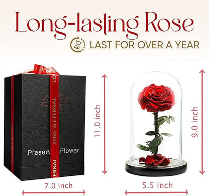 Forever Preserved Rose - Eternal Rose in Glass Dome - Beauty and The Beast Rose for Mom - Fresh Flowers in Glass (Red, 9 Inch)