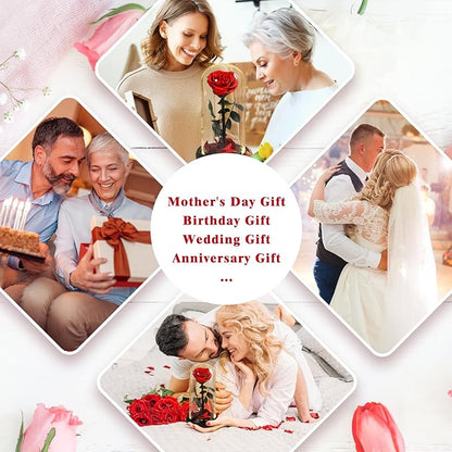Christmas Unique Gifts for Her,Christmas Flowers for Delivery Prime,Beauty and The Beast Rose in Glass Dome,Birthday Gifts for Women Her Mom Wife Girl Grandma on Thanksgiving Anniversary Valentines