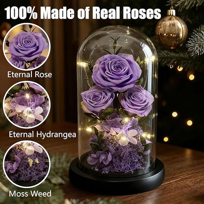 Birthday Gifts for Women Fresh Flowers for Delivery Prime Forever Preserved Rose in Glass Dome Gifts for Her Girlfriend Grandma Daughter Wife Valentines Mothers Day Christmas Anniversary-Light Purple