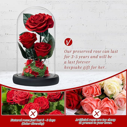 3 Preserved Flowers Roses in Glass Dome with Light for Beauty and The Beast Decor Real Rosas Eternas for Women Mom Birthday,Forever Red Roses for Delivery, Gifts for Wife Girlfriend Her