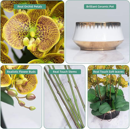 CXGS Orchids Artificial Flower Real Touch Faux Orchid in Large Ceramic Vase 23.6'' Realistic YellowSpots Fake Phalaenopsis Floral Arrangements Centerpiece Table Home Indoor Decor