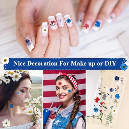 Nuanchu 167 Pcs Real Dried Pressed Flowers Natural Dried Flowers Colorful Daisy Mixed Wildflowers Leave for DIY Candle Resin Nails Jewelry Pendant Crafts Floral Art (Multicolor,Formal Style)