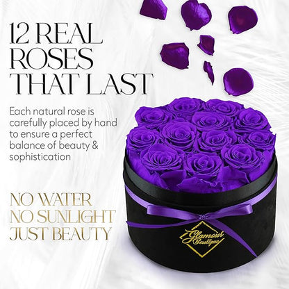 GLAMOUR BOUTIQUE Flowers Forever Gift Box 12 Real Preserved Roses in a Velvet Box, Birthday for Her Mom and Wife, Mothers Day, Anniversary, Graduation - Purple