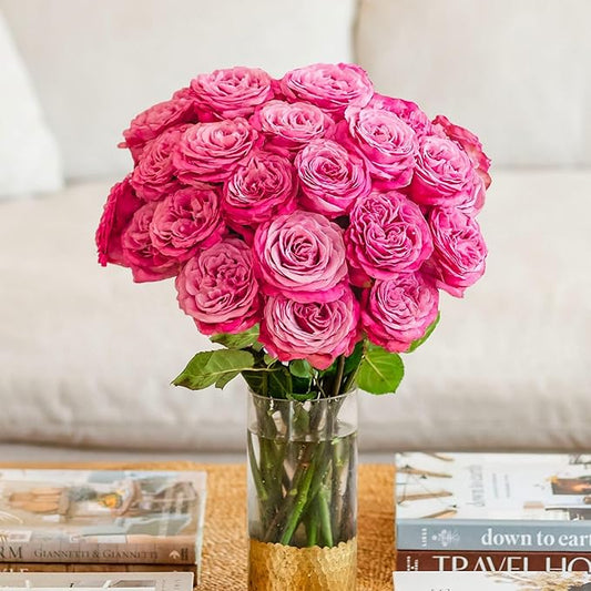 BloomsyBox - Lavender Roses - 24 Long Stems, Long Lasting, Hand-Tied in Eco-friendly, Vase Not Included, Fresh Flowers for Delivery – Gift for Birthday, Anniversary, Congratulations, Wedding
