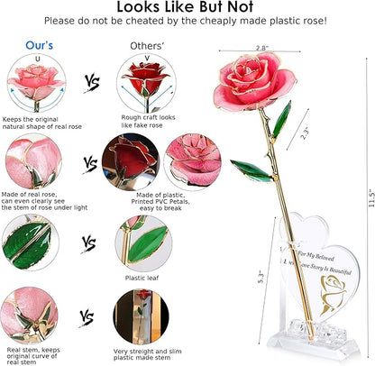 Sinvitron Gold Dipped Infinity Rose Forever Flower Decor, Resin Preserved Real Rose Birthday Gift for Women, Anniversary Present for Mom (Sweet Pink)