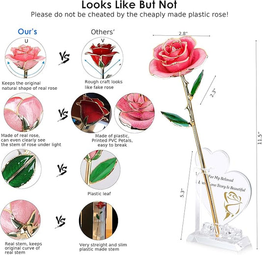 Sinvitron Gold Dipped Infinity Rose Forever Flower Decor, Resin Preserved Real Rose Birthday Gift for Women, Anniversary Present for Mom (Sweet Pink)