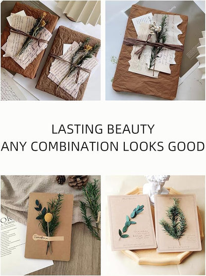 WILD AUTUMN 12 Kind Dried Flowers Set - Including Lavender, Eucalyptus, Wheat, Bunny Tails, Handmade for DIY Crafts, Vase Decor, Wedding/Home/Birthday/Seasonal Decor