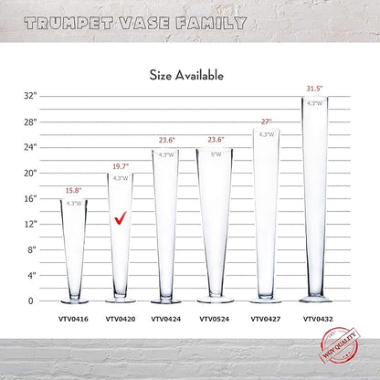 WGV Trumpet Glass Vase Bulk, Open 4", Height 20", (Multiple Sizes Choices) Clear Tall Pilsner Floral Planter Container Centerpiece, Wedding Event Home Decor, 6 Pieces (VTV0420)