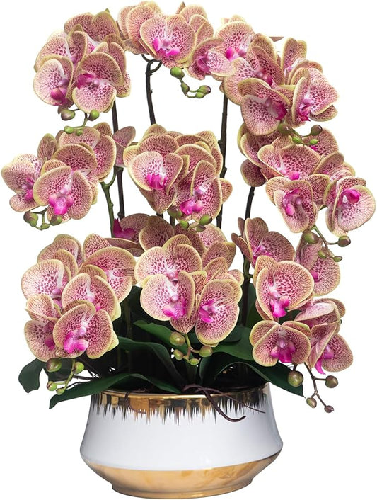 CXGS Orchids Artificial Flower Real Touch Faux Orchid in Large Ceramic Vase 23.6'' Realistic PurpleSpots Fake Phalaenopsis Floral Arrangements Centerpiece Table Home Indoor Decor