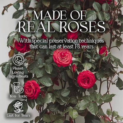 GLAMOUR BOUTIQUE Preserved Roses in a Box - Gifts for Her, Wife & Mom, Rose Flowers Forever Decor for Birthday Gift, Get Well Flower Bouquet Cased in White Box with Cover - Red - 16-Piece