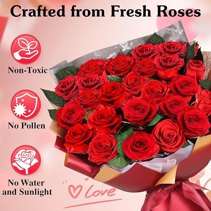 ADDWel 24 Preserved Real Red Rose Bouquet Long-Lasting Flowers for Her and Romantic Gifts for Wife Girlfriend, Two Dozens Forever Fresh Roses for Delivery Prime