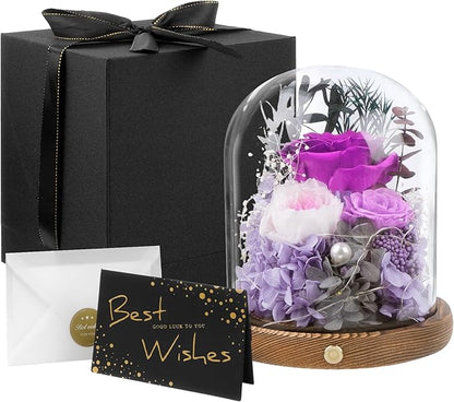 Large Preserved Flowers with Card&Box-Flowers for Delivery Prime,Eternal Rose with Lights,Roses in Glass Dome,Romantic Gift for Her,Decoration,Fresh Rose Flowers for Mom,Birthday,Anniversary (Purple)