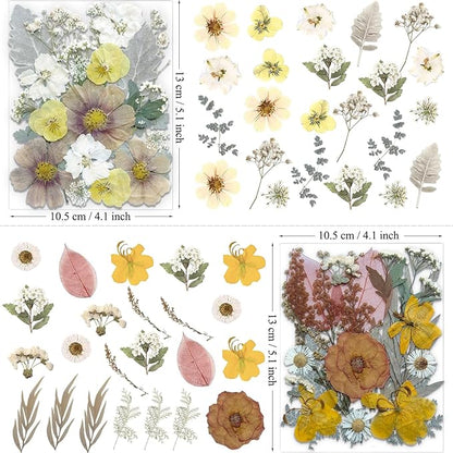 90Pcs Dried Pressed Flowers for Resin Molds, Vintage White Bulk Real Natural Dry Floral for DIY Art Crafts, Epoxy Jewelry, Candle, Soap Making, Nails Decor, Phone Case