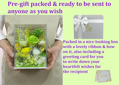 Valley of Rain & Forest Long-Lasting Real Flowers, Handcrafted Preserved Rose Bush For you to Send Love for All Occasions, Floral Arrangement for Indoor Decoration (Green Rose Spring-themed)
