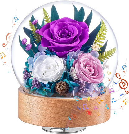 Eterfield Flowers for Delivery Prime, Christmas Preserved Roses Gifts for Women - Forever Flower in Glass Dome Birthday Gifts for Mom Wife Grandma Her Valentine’s Day (Purple, Sphere)