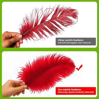Piokio 20 pcs Natural Red Ostrich Feathers 12-14 inch(30-35 cm) Bulk for Wedding Party Centerpieces and DIY Clothes Decoration, Gatsby Decorations
