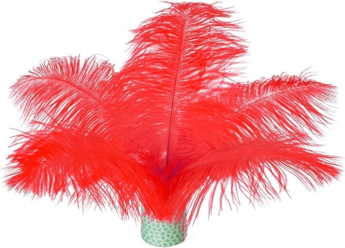 Piokio 20 pcs Natural Red Ostrich Feathers Plumes 8-10 inch(20-25 cm) Bulk for DIY Clothes, Feather Pens, Dream Catcher, Gatsby Decorations